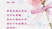 形容母爱的唯美句子,唯美句子的深情赞歌