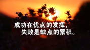 正能量励志语录,正能量励志语录精选