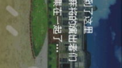超写真麻将,揭秘麻将世界的奇幻之旅