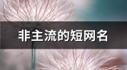 最经典的非主流网名